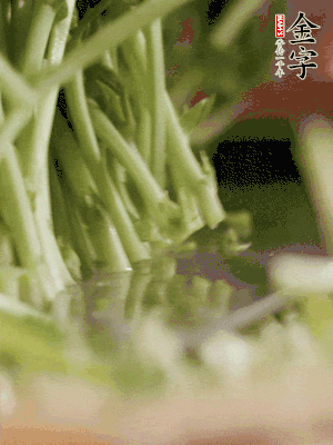 新鮮豌豆苗割下洗凈。